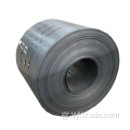 JIS SB35 G3103 Carbon Steel Coil